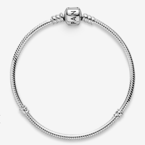 Pandora Charm Bracelet - Picture 15 of 15